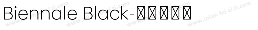 Biennale Black字体转换